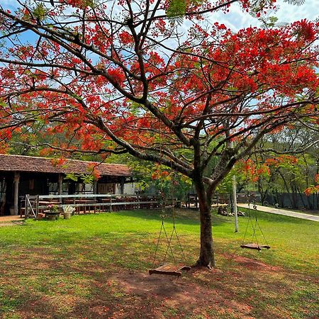 Resort Fazenda Sao Joao Сао Педро Екстериор снимка