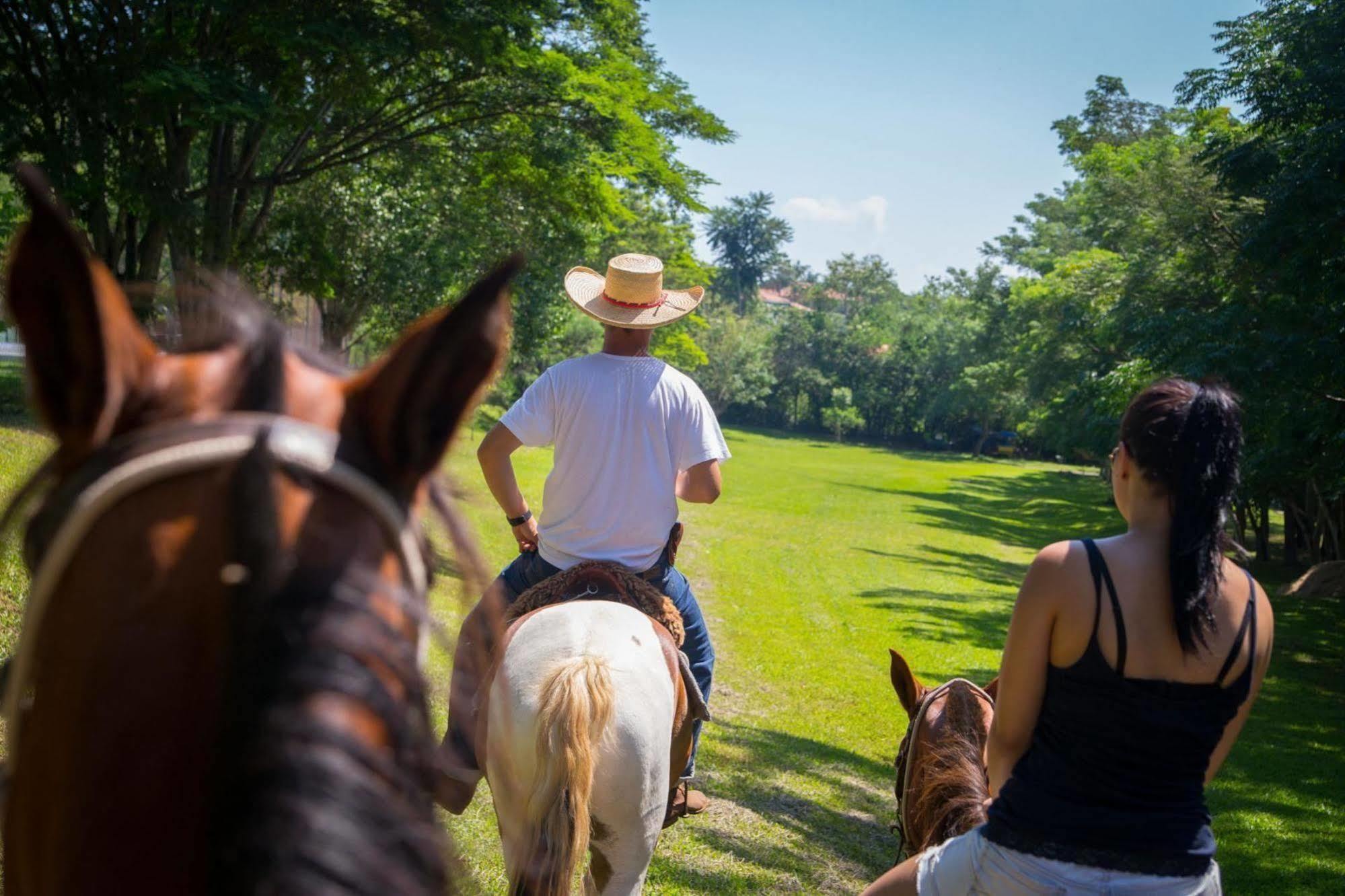 Resort Fazenda Sao Joao Сао Педро Екстериор снимка